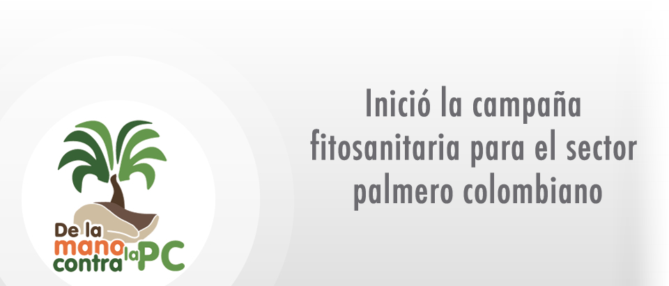 campana_pc