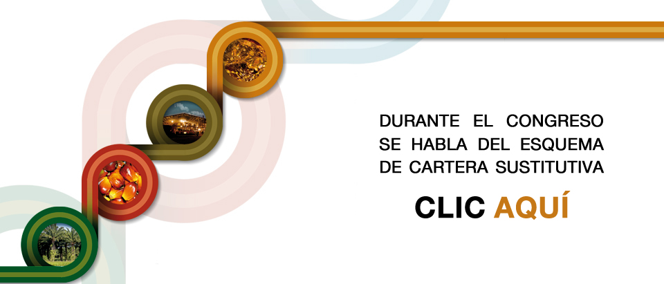 CARTERASUSTITUTIVA