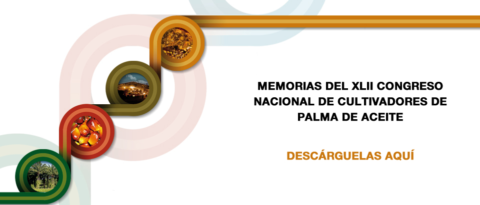 Slider_memorias