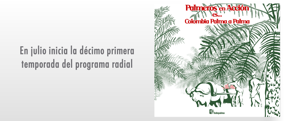palmeros-en-accion