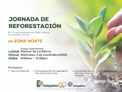 PIEZA JORNADA DE REFORESTACIÓN PALMAR DE LA SIERRA 2022