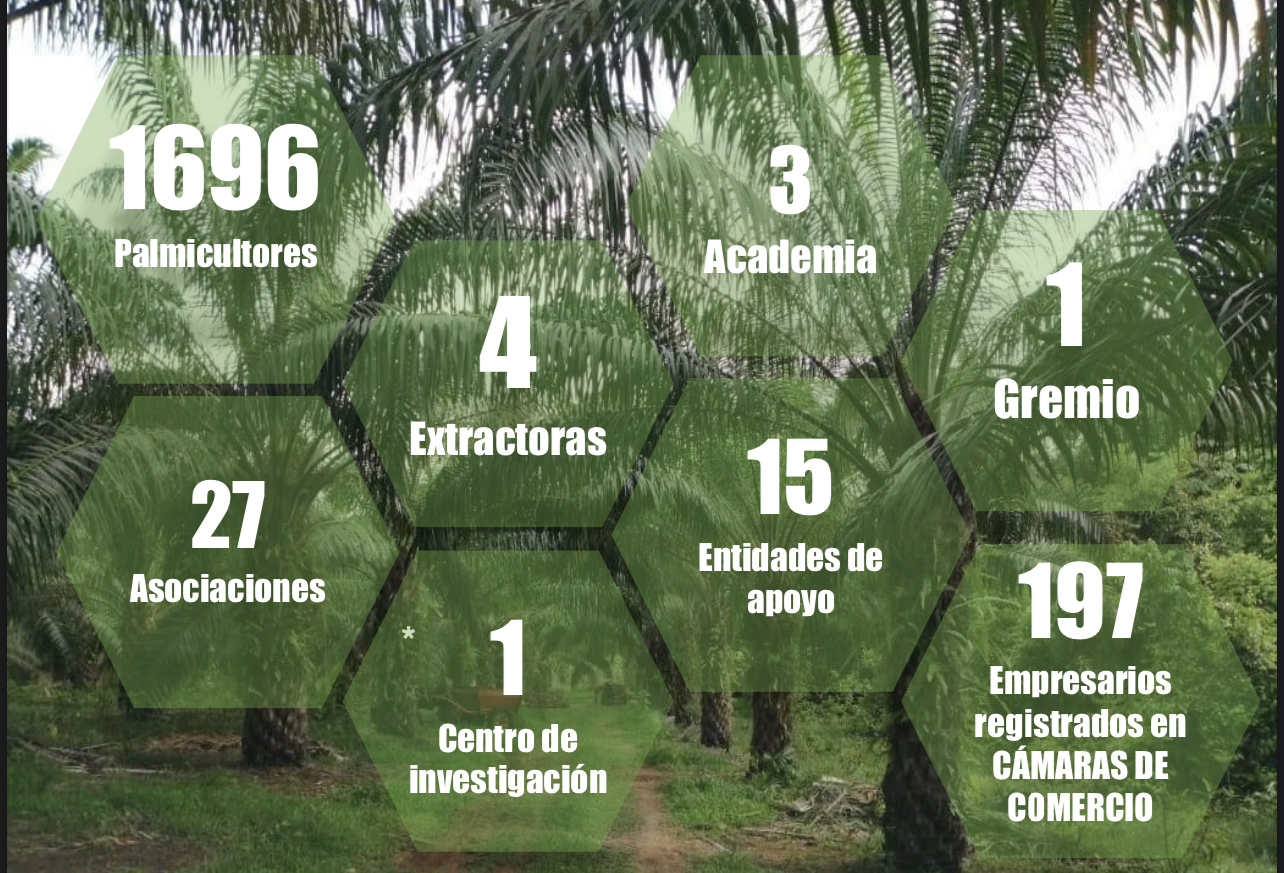 Infografía superpuesta a una plantación de palma con estadísticas de la industria, incluyendo 1696 palmicultores, 27 asociaciones, 4 extractoras y 197 empresarios.