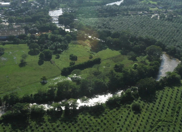 Vista aérea de un paisaje agrícola que incluye plantaciones en filas y campos verdes, con un río serpenteando