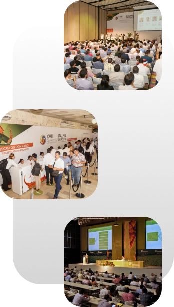 Momentos clave de un congreso nacional de palmicultores, que incluyen la masiva asistencia de la comunidad palmera, las charlas académicas y el proceso de registro de los participantes.