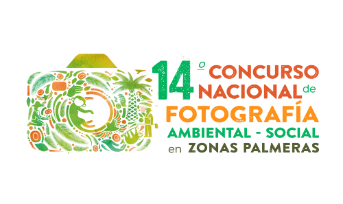 Concurso foto