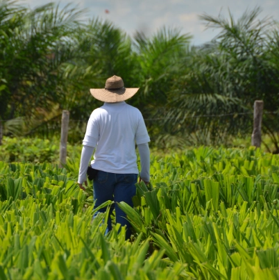 persona de espaldas con un sombrero de ala ancha