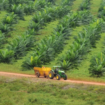 tractor verde remolcando un vagón de cosecha