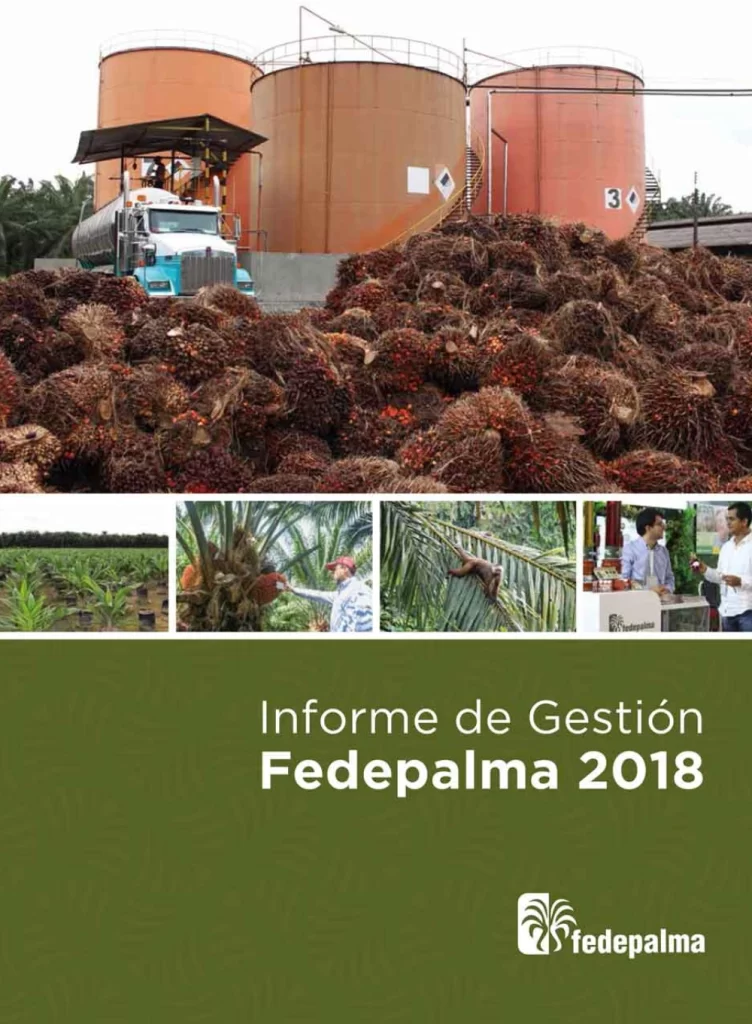 Portada del 'Informe de Gestión Fedepalma 2018'
