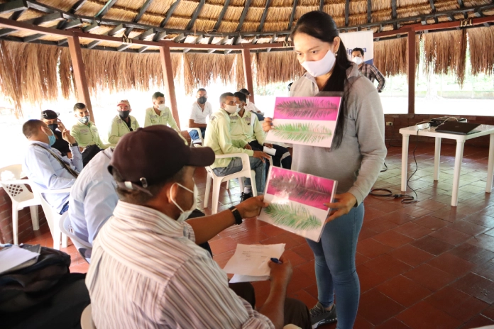 Sesión de entrenamiento agrícola para trabajadores de plantación de palma, con una mujer presentando materiales visuales sobre el cultivo