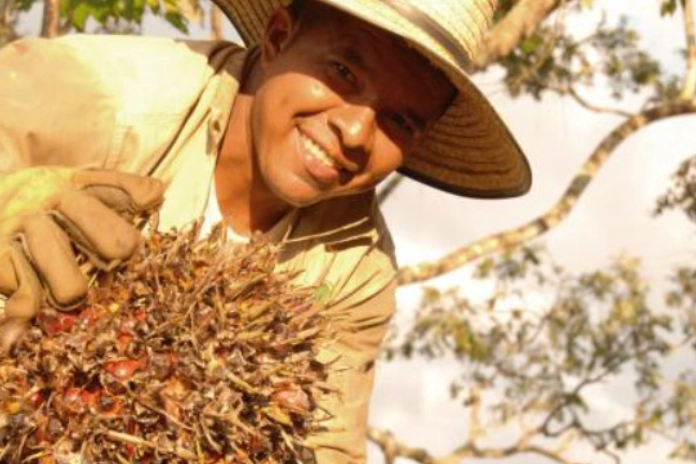 Retrato de un trabajador agrícola feliz sosteniendo un racimo de fruta de palma en la plantación."