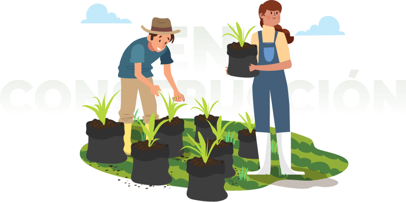 Ilustración "En Construcción" mostrando a dos agricultores plantando plántulas en el campo.