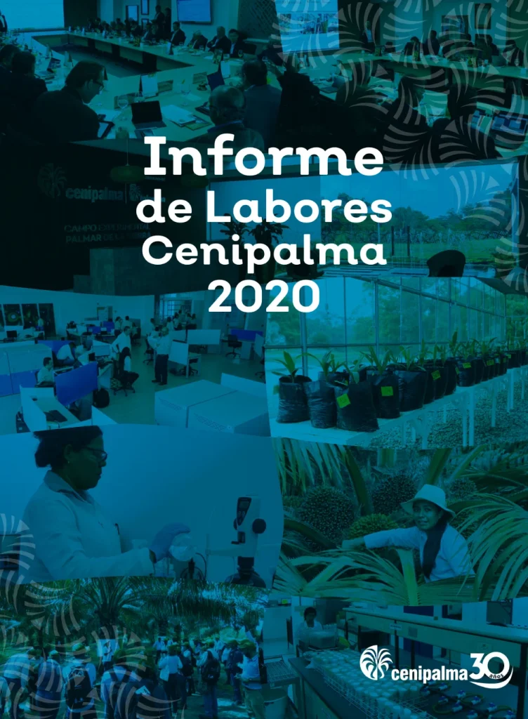 Portada del 'Informe de Gestión cenipalma 2020'