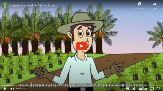 Captura del video animado "Registro Nacional de Palmicultores"