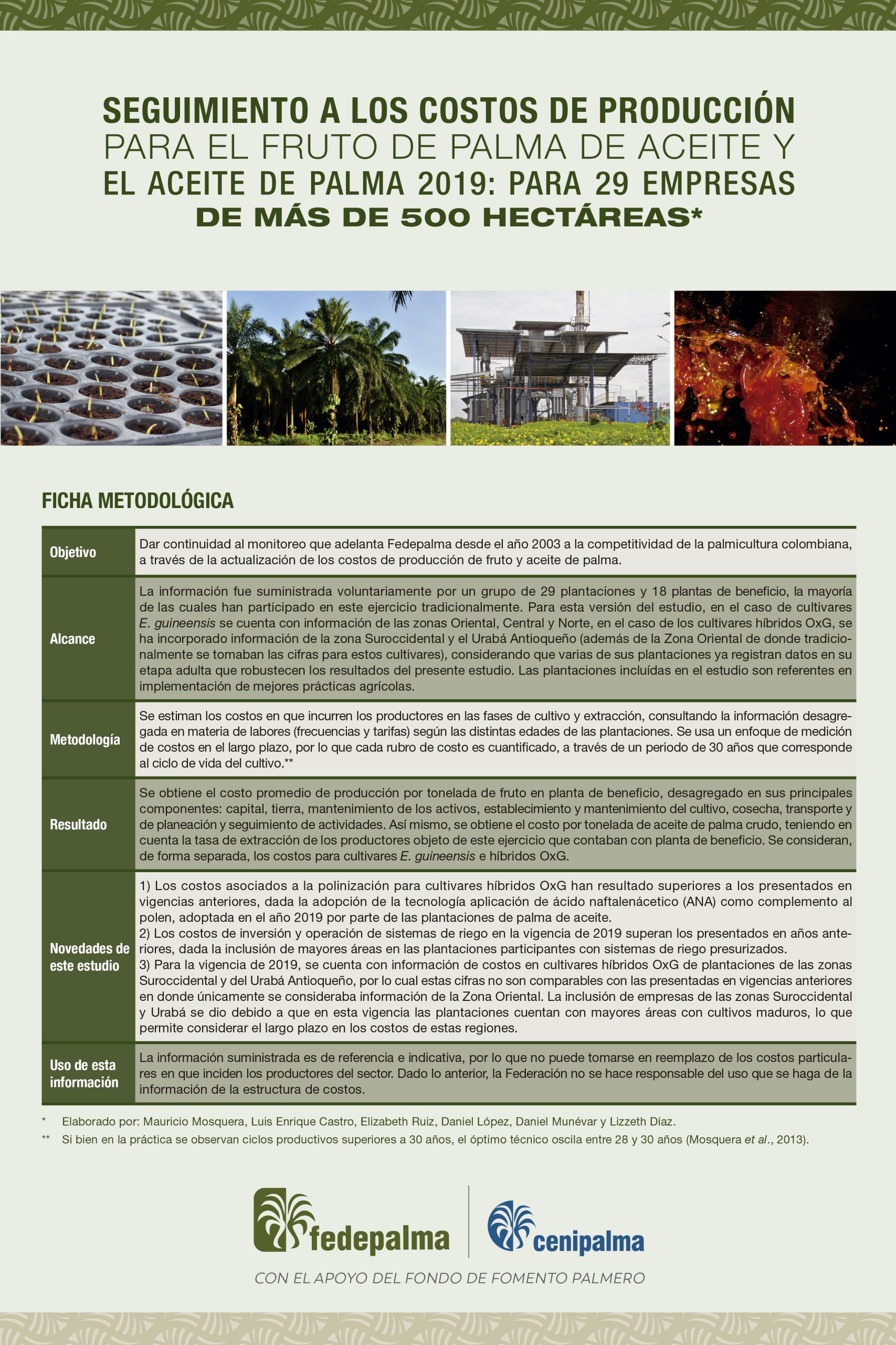 Ficha metodológica del informe 'Seguimiento a los costos de producción para el fruto de palma de aceite y el aceite de palma 2019: para 29 empresas de más de 500 hectáreas' de Fedepalma/Cenipalma.