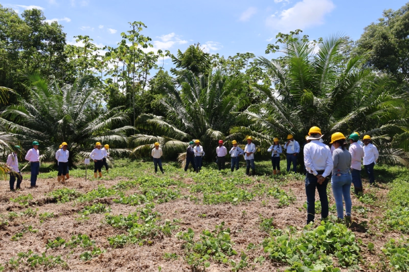 Comité Agronómico Regional en Yarima, Santander