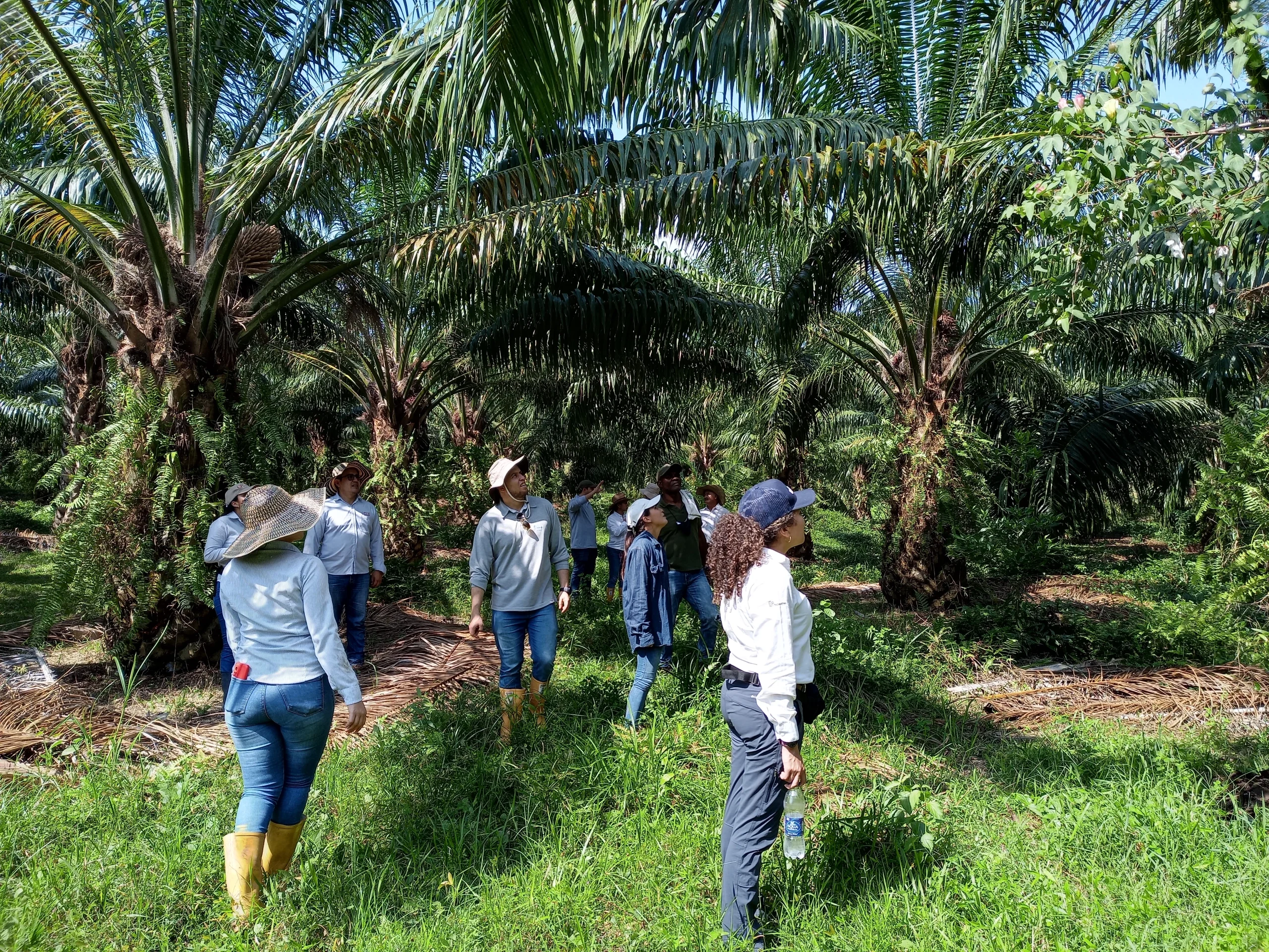 Gira de Sostenibilidad en Sabana de Torres