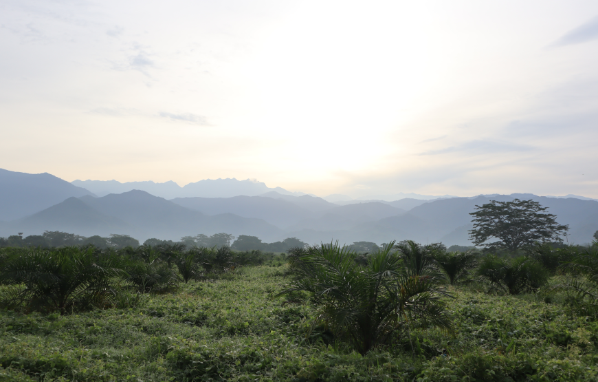 Fotografía de paisaje alusiva a la zona Norte.
