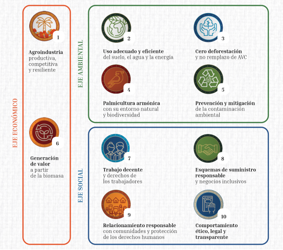 "Los 10 principios de sostenibilidad de la palma de aceite agrupados en tres ejes: Económico (1. Agroindustria productiva, competitiva y resiliente, 6. Generación de valor a partir de la biomasa); Ambiental (2. Uso adecuado y eficiente del suelo, el agua y la energía, 3. Cero deforestación y no remplazo de AVC, 4. Palmicultura armónica con su entorno natural y biodiversidad, 5. Prevención y mitigación de la contaminación ambiental); Social (7. Trabajo decente y derechos de los trabajadores, 8. Esquemas de suministro responsable y negocios inclusivos, 9. Relacionamiento responsable con comunidades y protección de los derechos humanos, 10. Comportamiento ético, legal y transparente)
