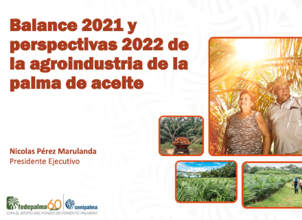 Diapositiva de portada del informe de Fedepalma/Cenipalma sobre el balance de 2021 y las perspectivas de 2022 para la agroindustria de la palma de aceite, con un collage de fotos de la actividad en el campo.