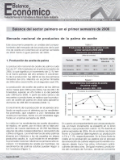 Página de reporte económico con el título 'Balance del sector palmero en el primer semestre de 2008', con tablas y gráficos de producción.