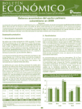 Portada del Boletín Económico que detalla la Dinámica económica del sector palmero colombiano en 2008. Contiene análisis y datos de desempeño y exportaciones.