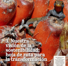Lagarto sobre frutos de palma de aceite. Texto: '3. Nuestra visión de la sostenibilidad: hoja de ruta para la transformación'