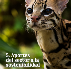 Primer plano de un felino salvaje manchado (ocelote). Título: '5. Aportes del sector a la sostenibilidad'.