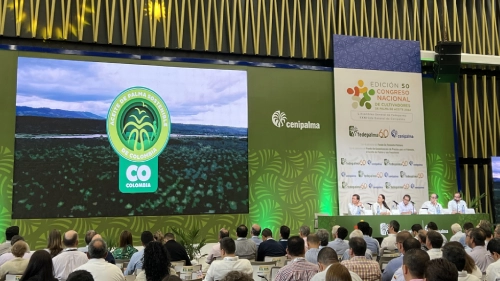 Vista de un panel de discusión en el 50° Congreso Nacional de Cultivadores de Palma.