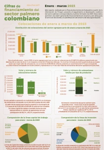 Infografía de Fedepalma con las "Cifras de financiamiento del sector palmero colombiano" para el periodo de enero a marzo de 2023, mostrando gráficos de barras y circulares sobre las colocaciones de crédito.