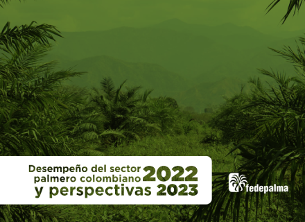 Portada del informe "Desempeño del sector palmero colombiano 2022 y perspectivas 2023" de Fedepalma.