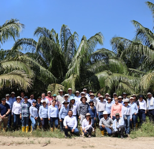 Grupo grande de personas, incluyendo agricultores y profesionales, posando para una foto frente a un denso palmar bajo un cielo azul brillante.