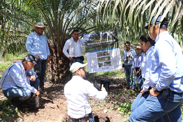 Grupo de personas, posiblemente técnicos y agricultores, recibiendo una capacitación en campo sobre la "BIOMASA DISPONIBLE"