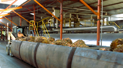 Interior de una planta de procesamiento de palma de aceite
