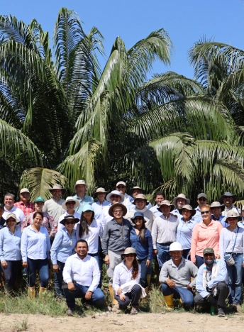 Foto de grupo de un equipo de profesionales del sector palmero (hombres y mujeres) posando frente a una palma de aceite madura.