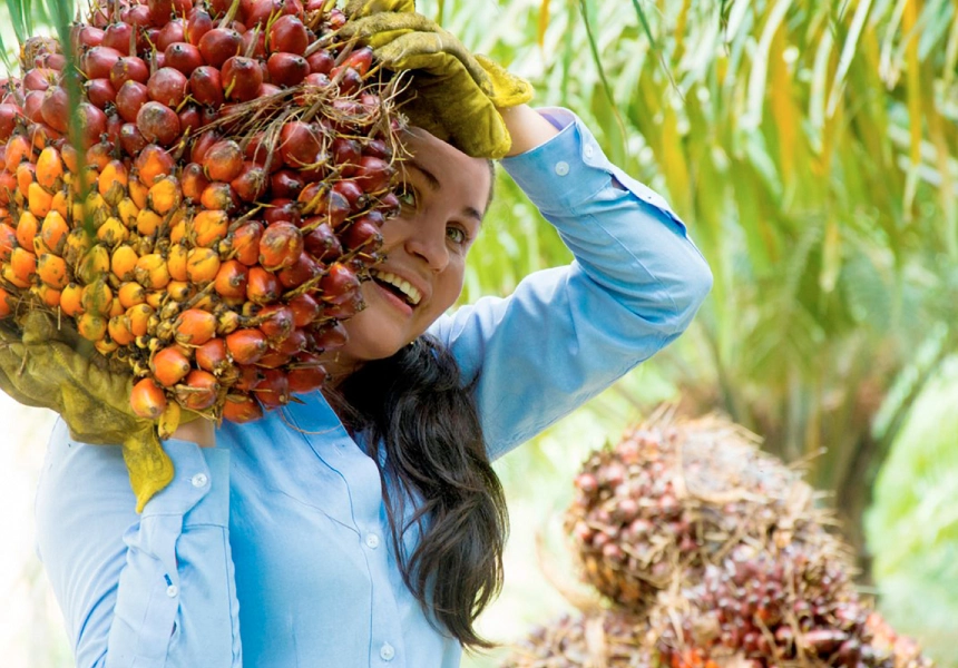 mujer sonriente, cargando un gran racimo de frutos de palma de aceite.