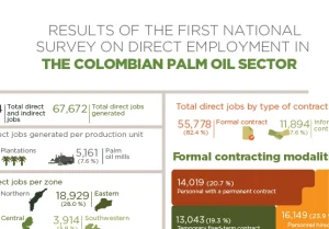 Infografía de los resultados de la Primera Encuesta Nacional de Empleo Directo en el Sector Palmero Colombiano, mostrando el total de empleos, distribución por zonas y la modalidad de contratación.