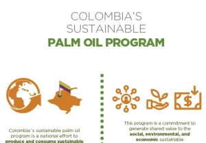 Infographic titled “COLOMBIA SUSTAINABLE PALM OIL PROGRAM.” The graphic includes text and icons illustrating the program's commitment to generating social, environmental, and economic benefits.