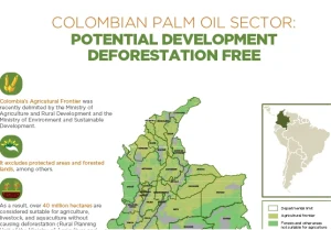 Infographic titled “COLOMBIAN PALM OIL SECTOR: POTENTIAL FOR DEVELOPMENT WITHOUT DEFORESTATION.” The graphic shows a detailed map of Colombia. The text indicates that more than 40 million hectares are suitable for agriculture without causing deforestation.