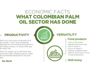 Infografía de 'Hechos Económicos' del sector palmero colombiano, destacando su productividad global (aceite más consumido) y su versatilidad para productos alimenticios.