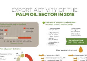 Infografía de la actividad de exportación del sector de aceite de palma en 2018, mostrando gráficos de producción por mercados, el ranking de exportaciones agrícolas y los principales destinos.