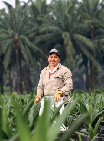 Mujer trabajadora sonriendo, parada en medio de plántulas o plantas jóvenes con palmas de aceite altas en el fondo.
