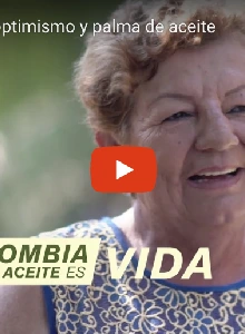 Imagen de capitulo