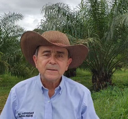 hombr de pie al aire libre con filas de palmas de aceite en el fondo