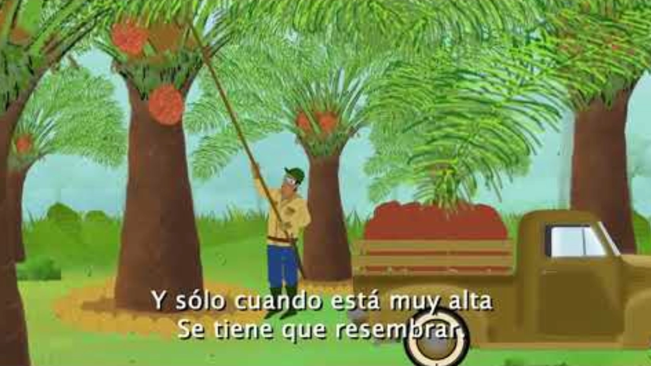 Ilustración animada de un agricultor cosechando racimos de palma de aceite