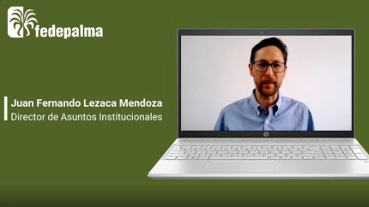 Juan Fernando Lezaca Mendoza, Director de Asuntos Institucionales, en una videollamada