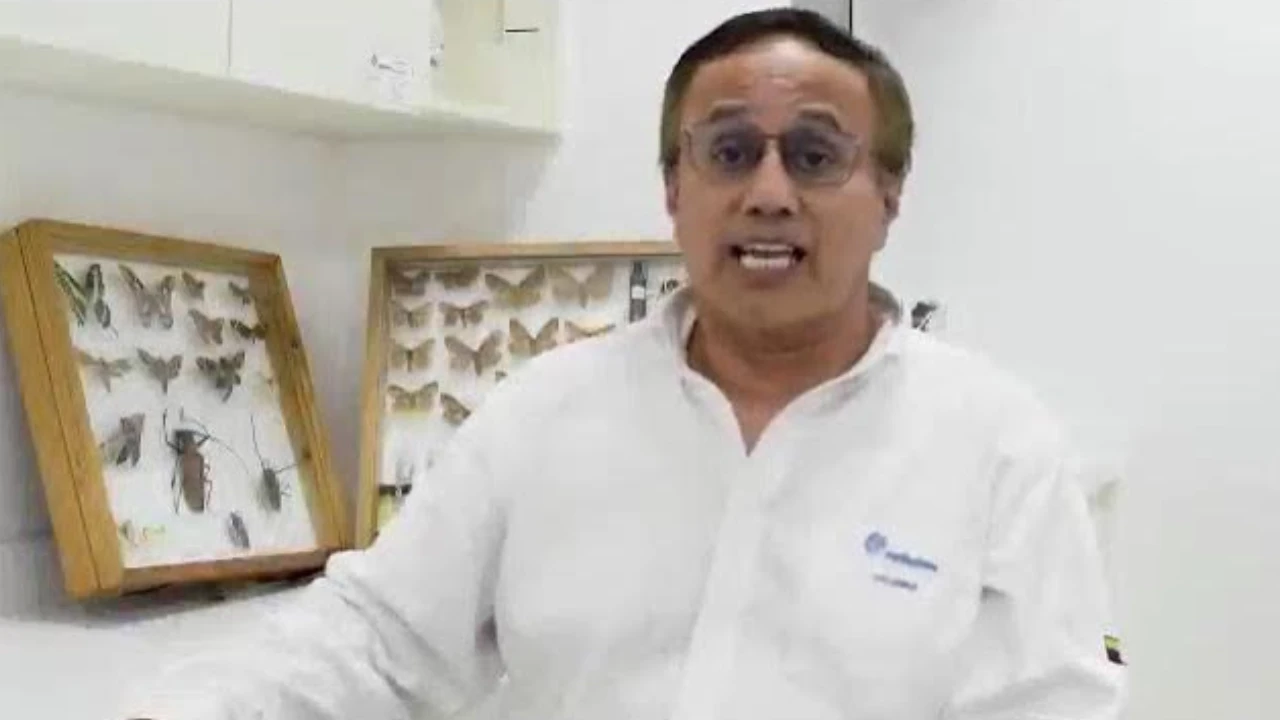 Hombre con camisa de laboratorio, de pie en un cuarto de investigación con vitrinas de insectos y mariposas disecadas.