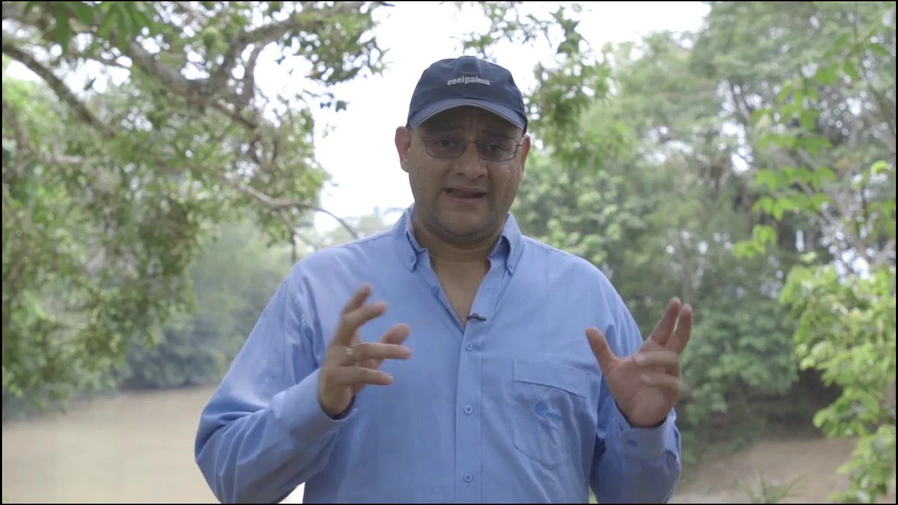 Hombre con camisa azul y gorra de Cenipalma, hablando al aire libre.