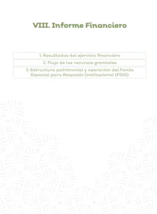 Diapositiva 'VIII. Informe Financiero'. Enumera tres puntos: Resultados del ejercicio financiero, Flujo de los recursos gremiales y Estructura patrimonial y operación del Fondo Especial para Respaldo Institucional