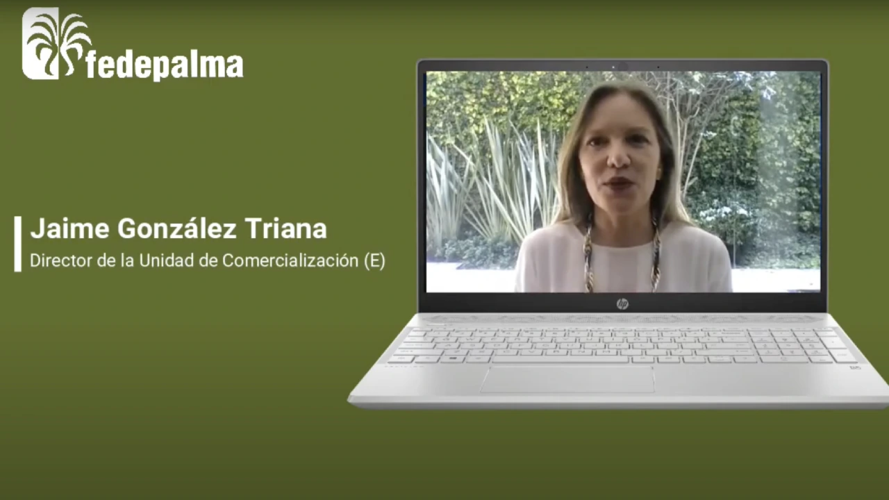 Jaime González Triana, Directora de la Unidad de Comercialización, en una videollamada