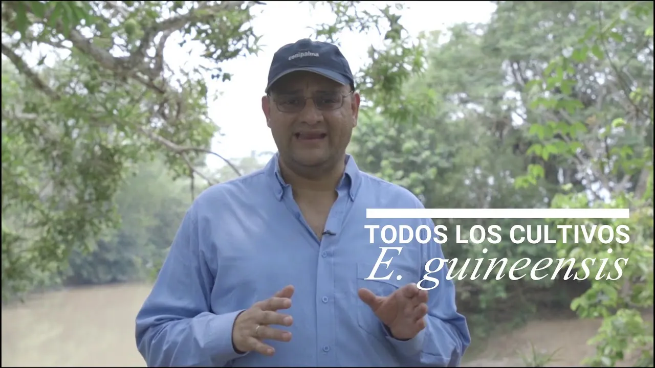 Hombre hablando al aire libre con fondo de árboles y un río, con el texto "TODOS LOS CULTIVOS E. guineensis"